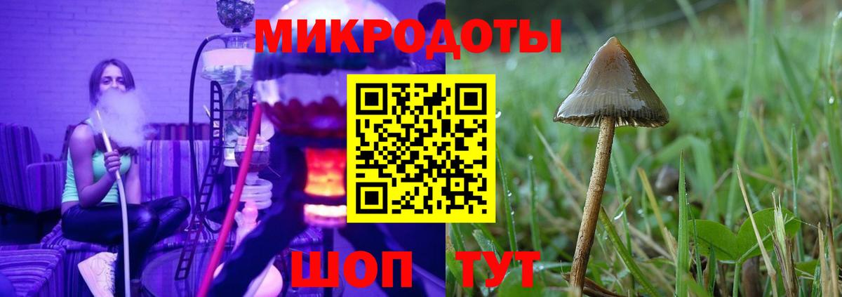 Черняховск  Псилоцибиновые грибы прущие грибы  Вход с VPN 