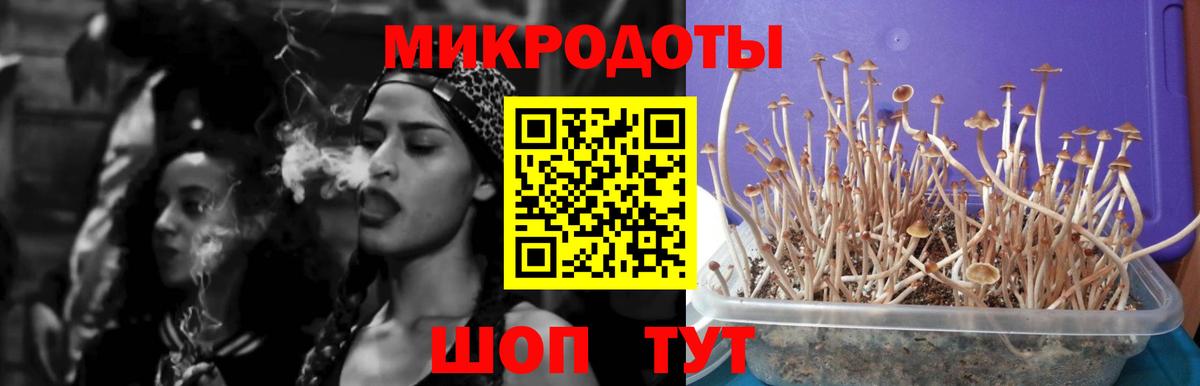 Псилоцибиновые грибы мухоморы Черняховск